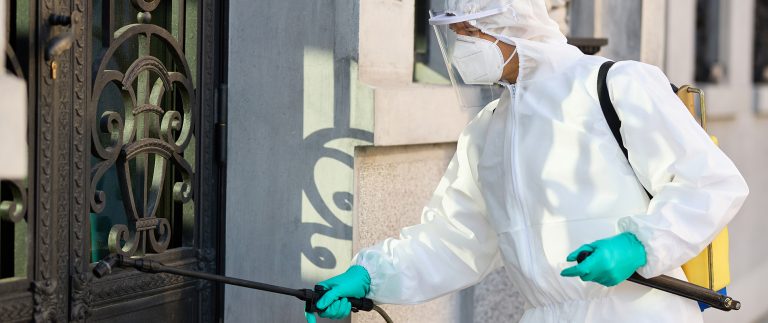 Effective Pest Control Solutions for Every Home