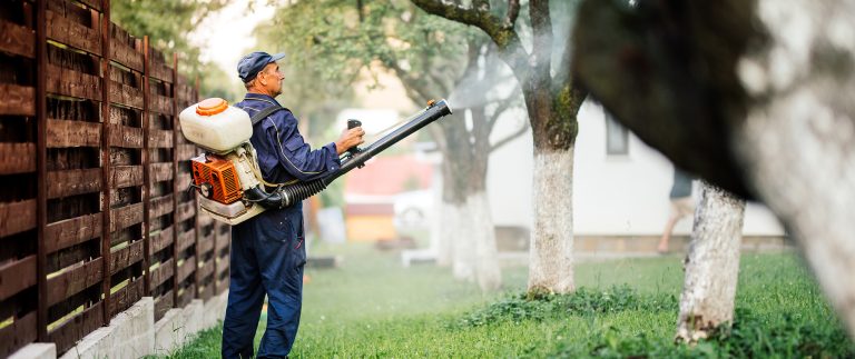 Safe and Reliable Pest Control Services