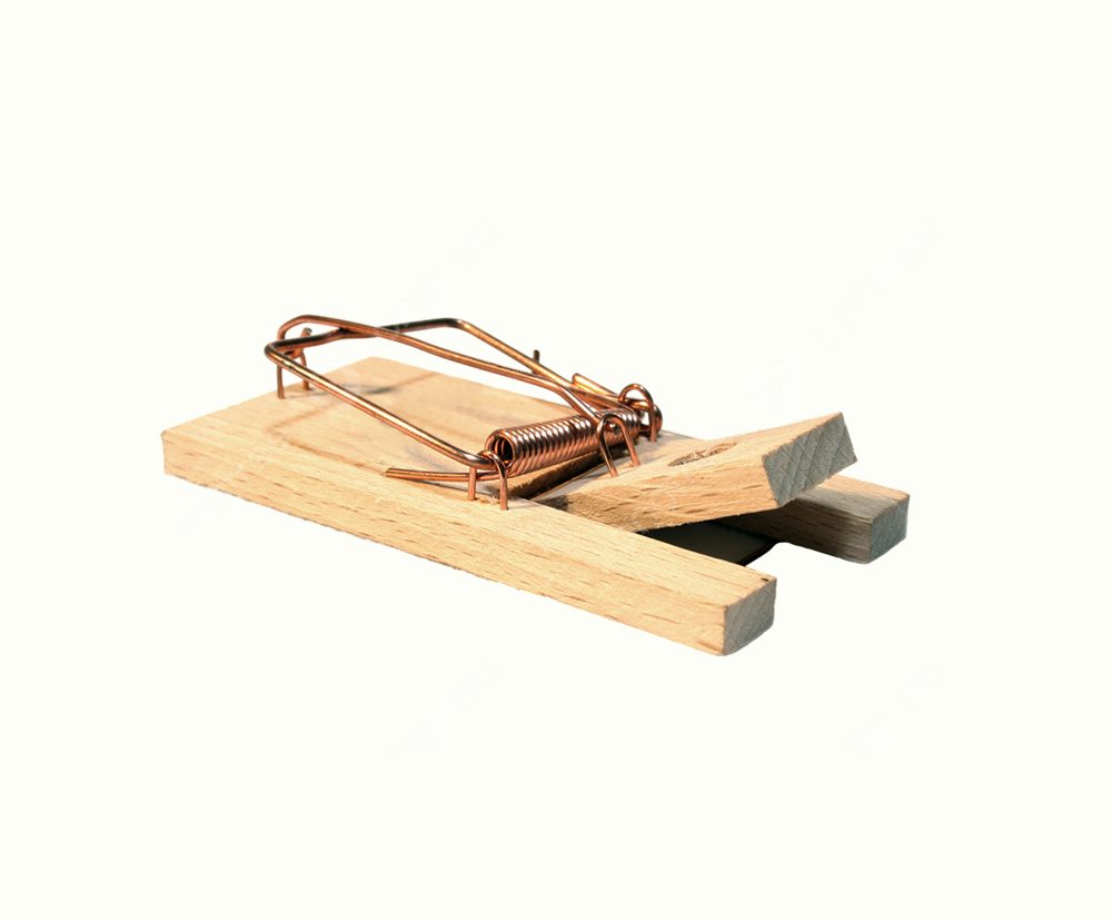 Browning Defender - Image 2
