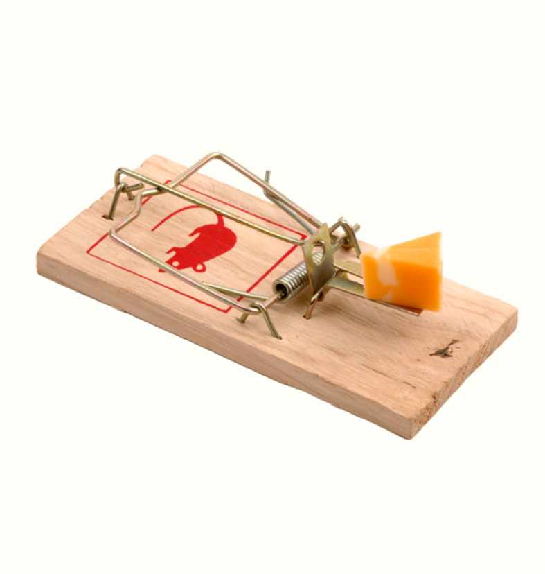 classic wooden mousetrap