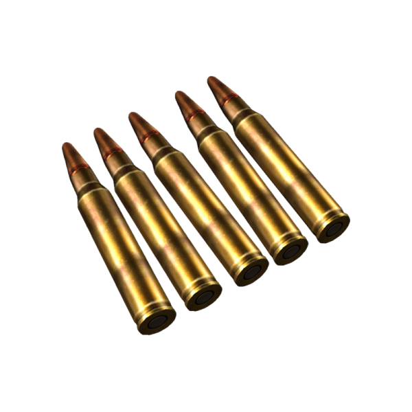 Premium Rifle Cartridges