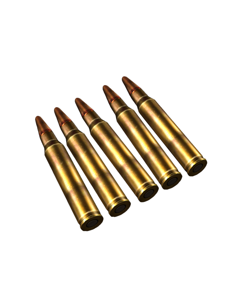 Premium Rifle Cartridges