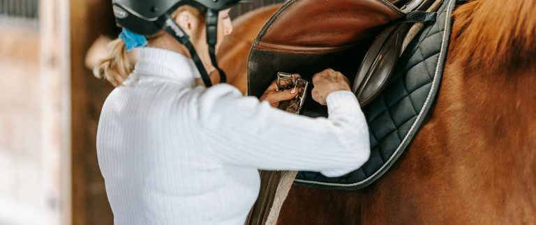 Riding school begins our riding classes and trainings