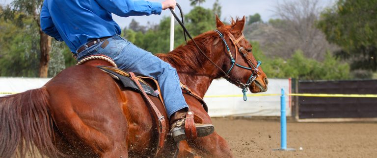 The road to success in riding is always under construction.