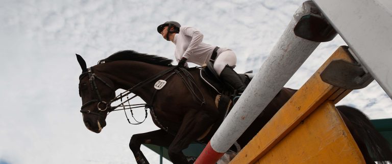 The Veterinarian’s Function In Horse Racing