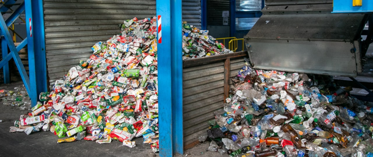 The Humongous Problem Of Food Waste And Everything You Need