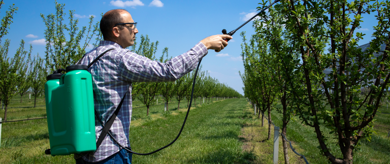 Fresh Fruits & Vegetables in our New Markets