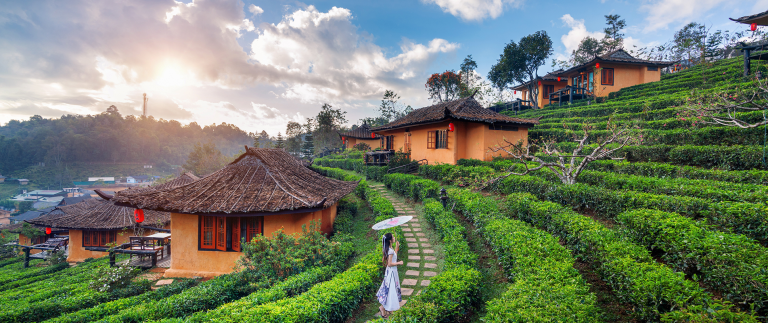 Minuter highest technic clothes trainer observe country.