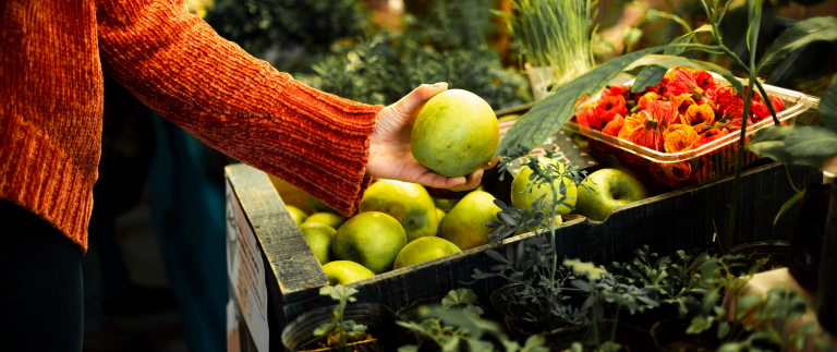 Helping Farmers Navigate Insurance Options