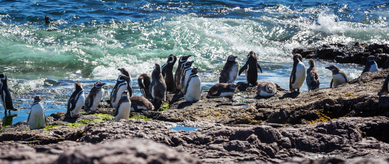 Immersing yourself in local traditions.