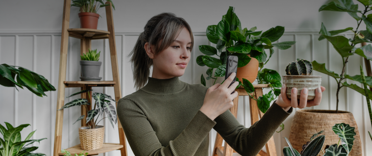 Fresh Fruits & Vegetables in our New Markets