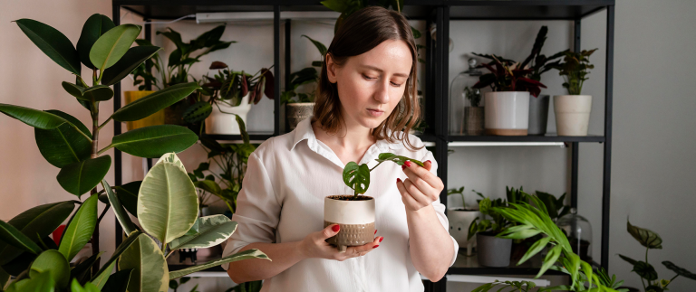 Gardening for all seasons: year-round tips