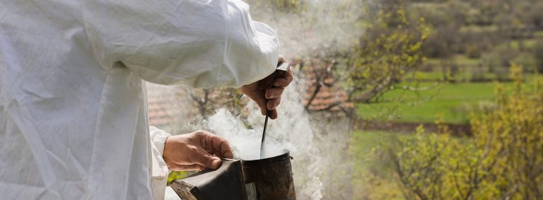 Dark Chocolate Ghosts Cupcakes