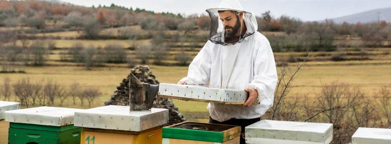 Exploring the Different Bee Products