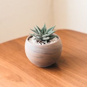 decor pot