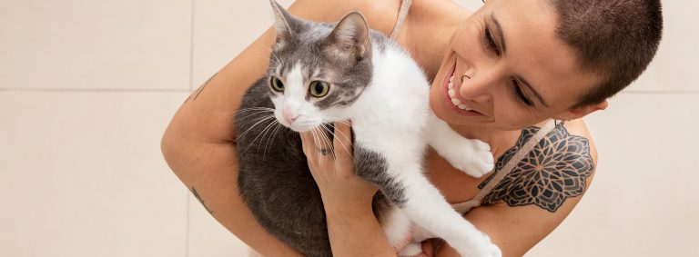 Basic Necessities of Proper Pet Care