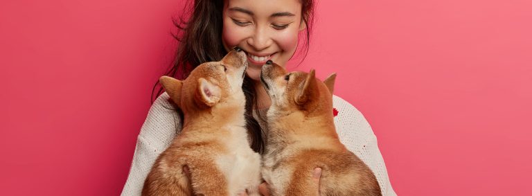 Thinking creatively: pet fears and stereotypes