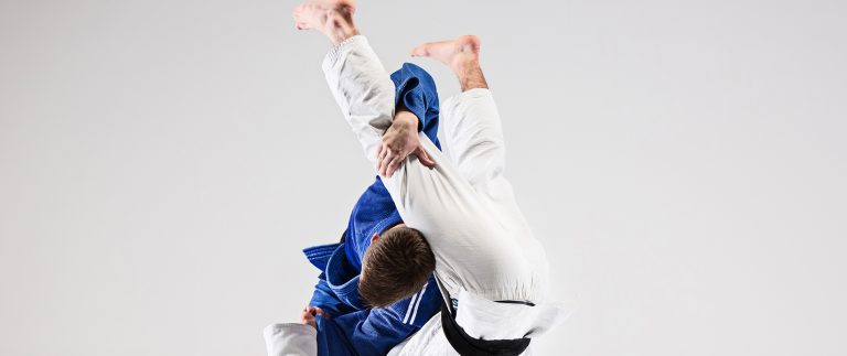 Karate belt system and acknowledgements
