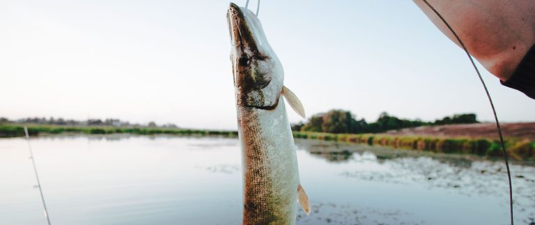 We have 1000’s of items of fishing tackle