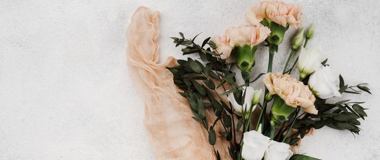 How to Care for Your Houseplants Like a Pro