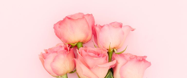 We don’t just create bouquets – we create emotions