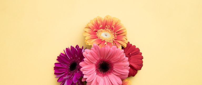 Making beautiful flowers a part of your life.